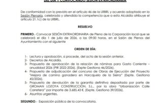 Pleno-extraordinario-1-julio-2026